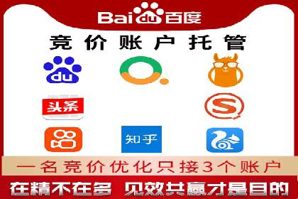 SEM代运营经典案例解析与启示